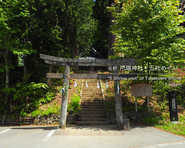 戸隠神社･火之御子社