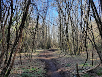 via francigena da nemi a castel gandolfo