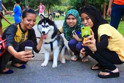 Penganjur "I Want To Touch A Dog" mohon maaf