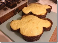 colomba 7