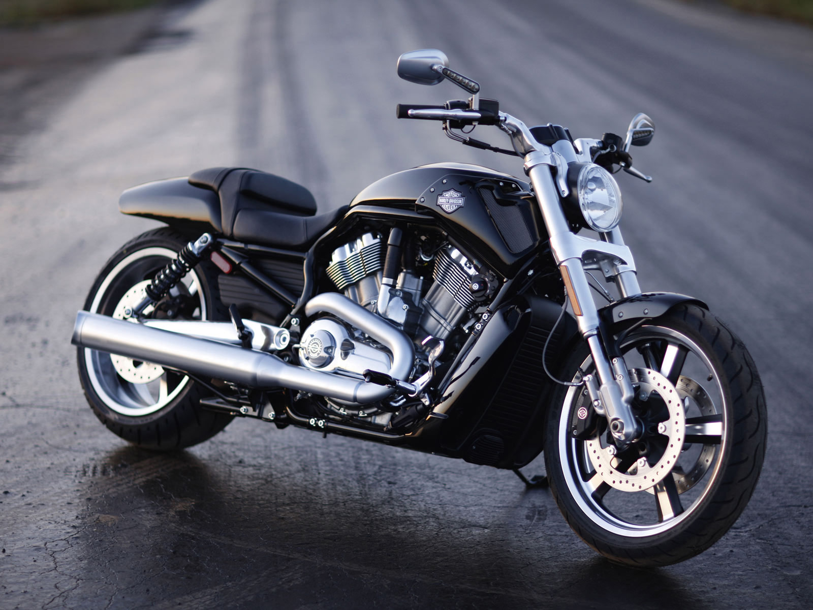 Harley-Davidson V-Rod Muscle