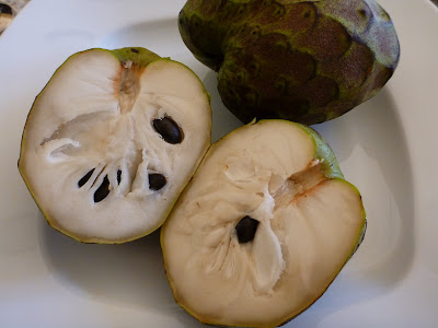 Binomen Art - Cherimoya (Annona)