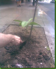 Imagen035