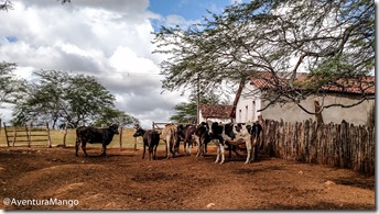 Paisagem de interior 3