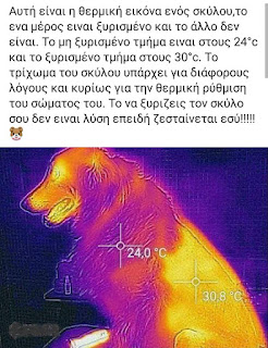 Θερμική εικόνα σκύλου