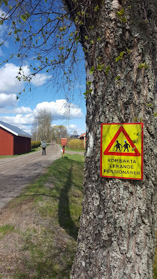 Foto av gata med vägskylten Varning för pensionärer