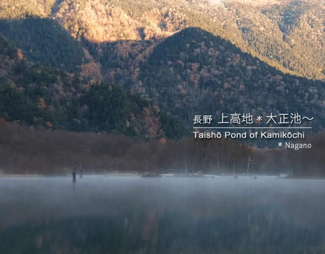 [初冬の上高地] 大正池から河童橋までの風景