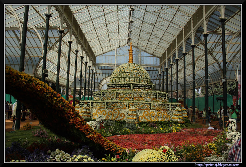 Lalbagh Flower Show January 2012