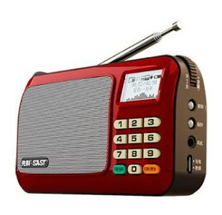 SAST digital pocket radio mini pocket digital FM radio with USB port