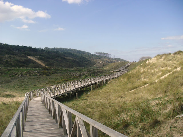 Senda dunas de Loredo