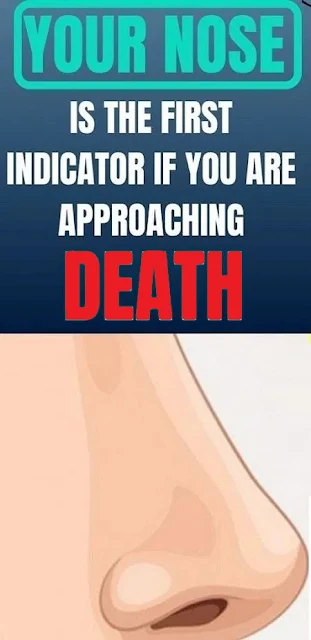 Your Nose is the First Indicator if You are Approaching Death