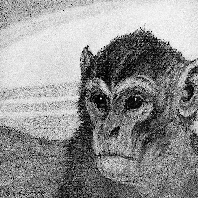 a Paul Bransom illustration of a serious monkey face