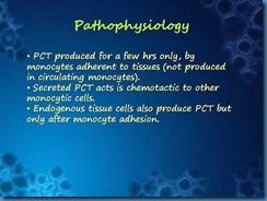 Slide59