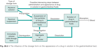 Influence of Oral Dosage Forms to Absorption