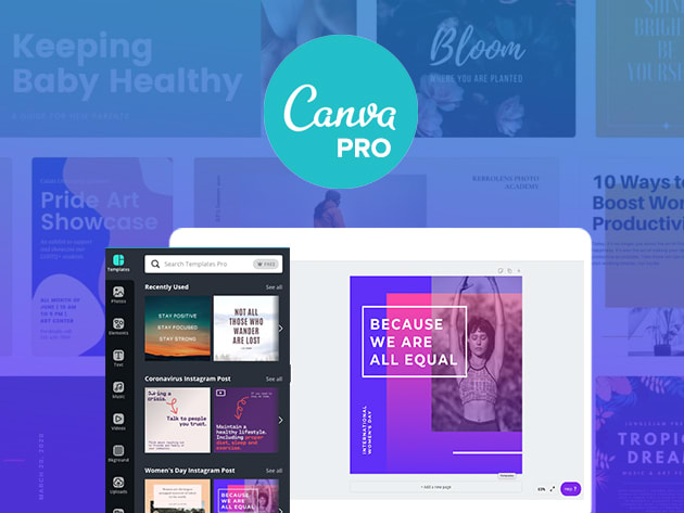Hướng dẫn đăng kí Canva Pro giành cho giáo dục - miễn phí