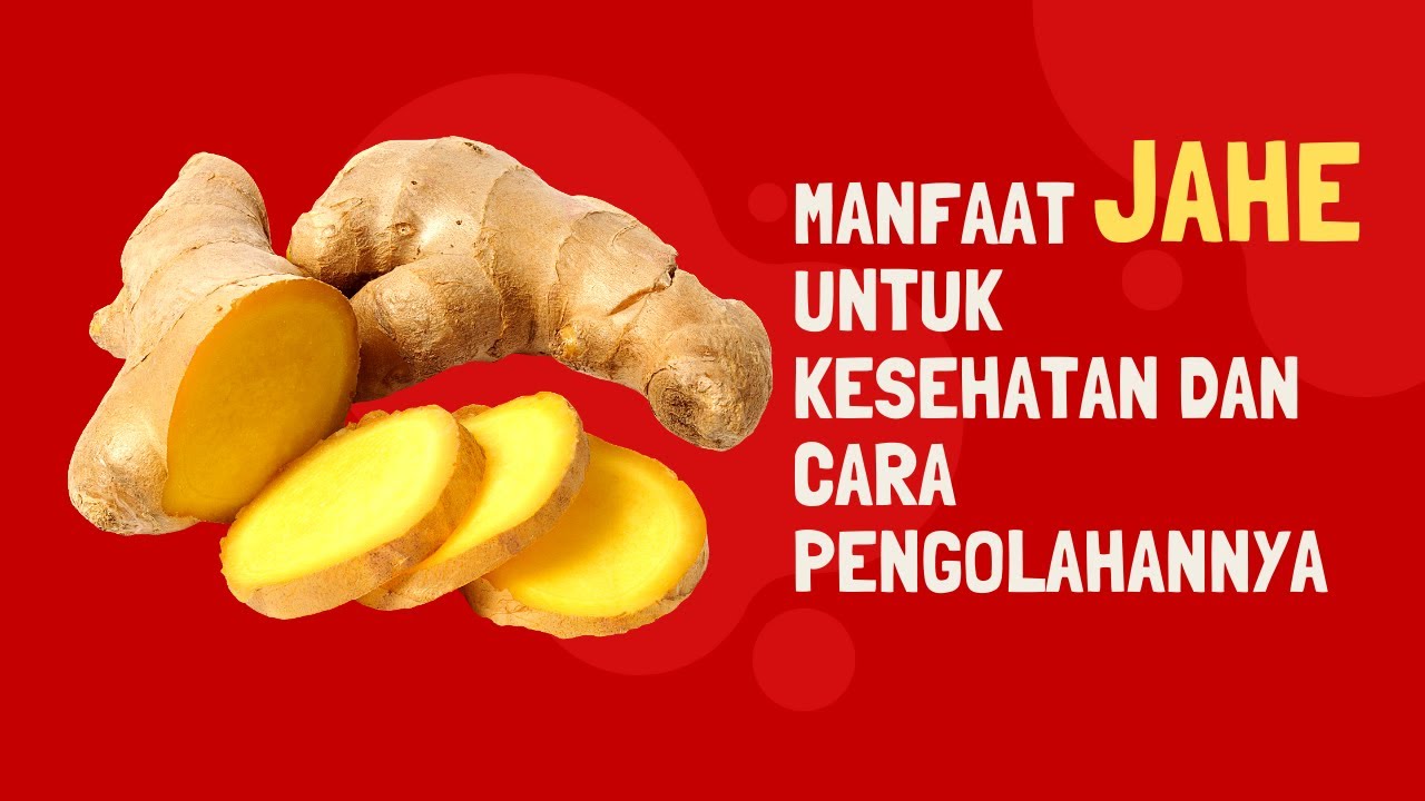 Manfaat jahe untuk kesehatan