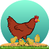 BS-Poultry Sciences