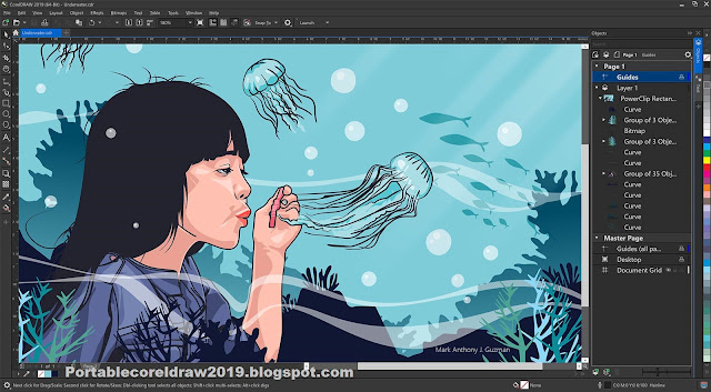 CorelDRAW Graphics Suite 2019 Portable +Setup v21.3.0.755