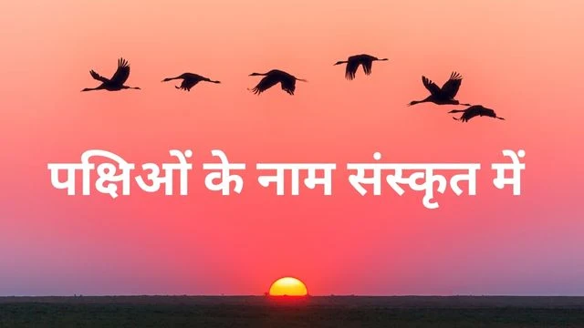 30 Birds name in Sanskrit