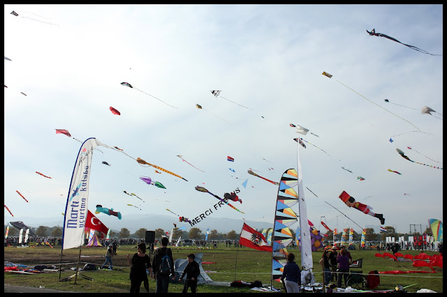 festival de l'air fréjus 2015