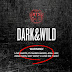 [FREE DOWNLOAD]: FULL ALBUM Bangtan Boys (BTS) (방탄소년단)  - 1집 DARK&WILD