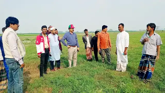 কাজিপুরে বন্যাকালীন গবাদিপশু রক্ষায় নির্মিত হচ্ছে মাটির কেল্লা