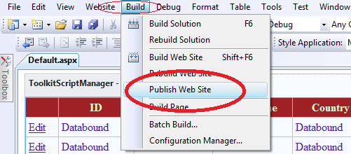 Publish Asp.Net Web Site Application In Visual Studio