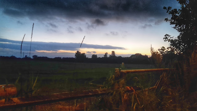 Project 366 2016 day 224 - Yoga Sky // 76sunflowers