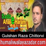 https://www.humaliwalyazadar.com/2018/10/gulshan-raza-chittorvi-nohay-2019.html