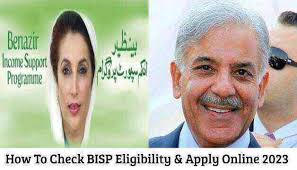 How to check bisp eligibility online 2023