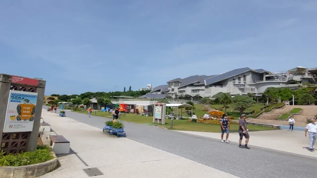 【沖縄旅行】美ら海水族館の魅力は何と言ってもジンベイザメでしょう！