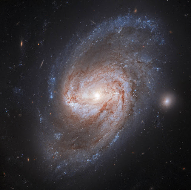 ngc-3583-galaksi-spiral-berbatang-dengan-dua-ledakan-supernova-informasi-astronomi