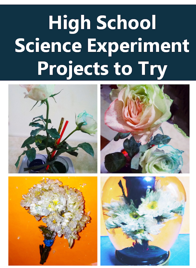 High School Science Experiment Projects to Try