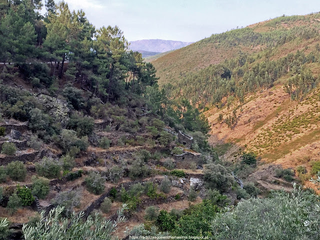 Estrada entre Piódão e Foz d'Égua