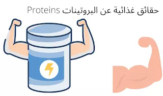 البروتينات والفوائد الصحية