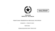 Peraturan Pemerintah Nomor 11 Tahun 2023 Tentang Penangkapan Ikan Terukur