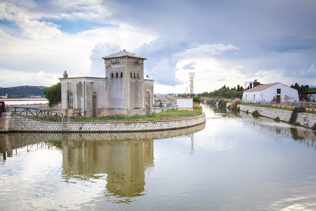 Parco Naturale Molentargius-Saline-Cagliari