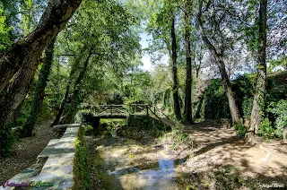 Merendero de Las Chorreras