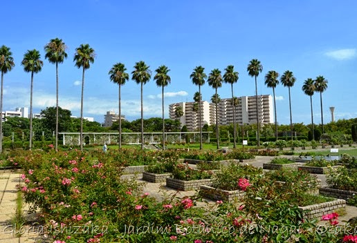 80 - Glória Ishizaka - Jardim Botânico Nagai - Osaka