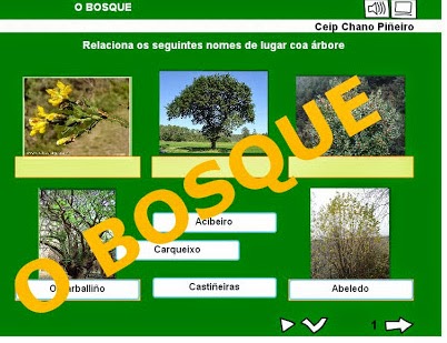 http://www.edu.xunta.es/centros/ceipchanopinheiro/aulavirtual/file.php/3/varios/bosque/bosque.html
