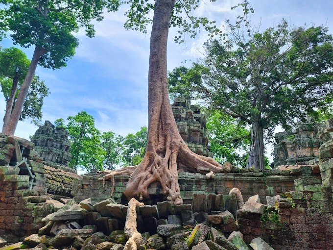 The Stunning Ancient Ta Prohm Temple