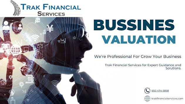Business valuation experts