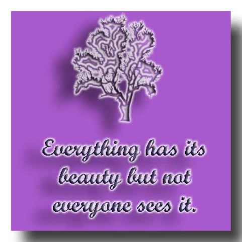 beautiful quotes on beauty. eautiful quotes on eauty.