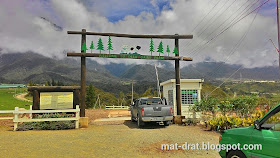 Ladang lembu Kundasang