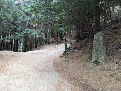 才の神峠を右上の方に進んでいきます。
