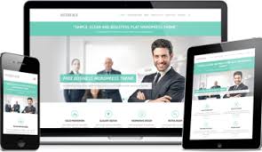 7 Tips on choosing a WordPress theme to create a Professional website