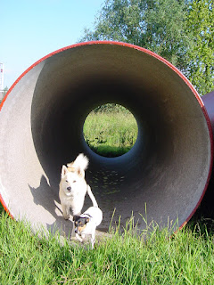 rioolbuis