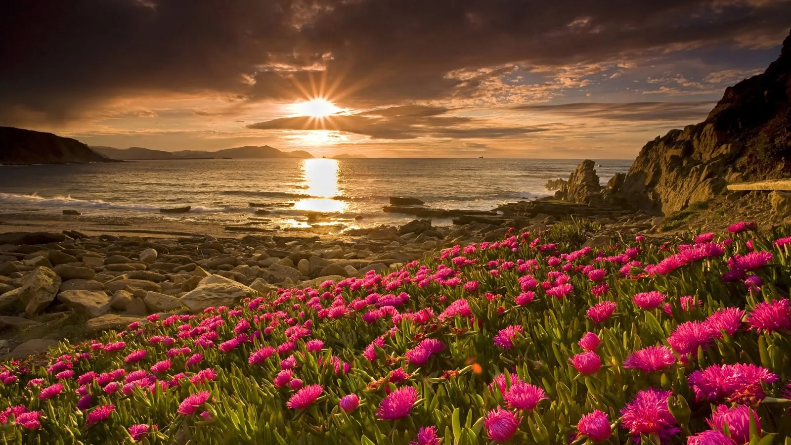 lovely-sunrise-wallpaper-gsminsark%20(1)