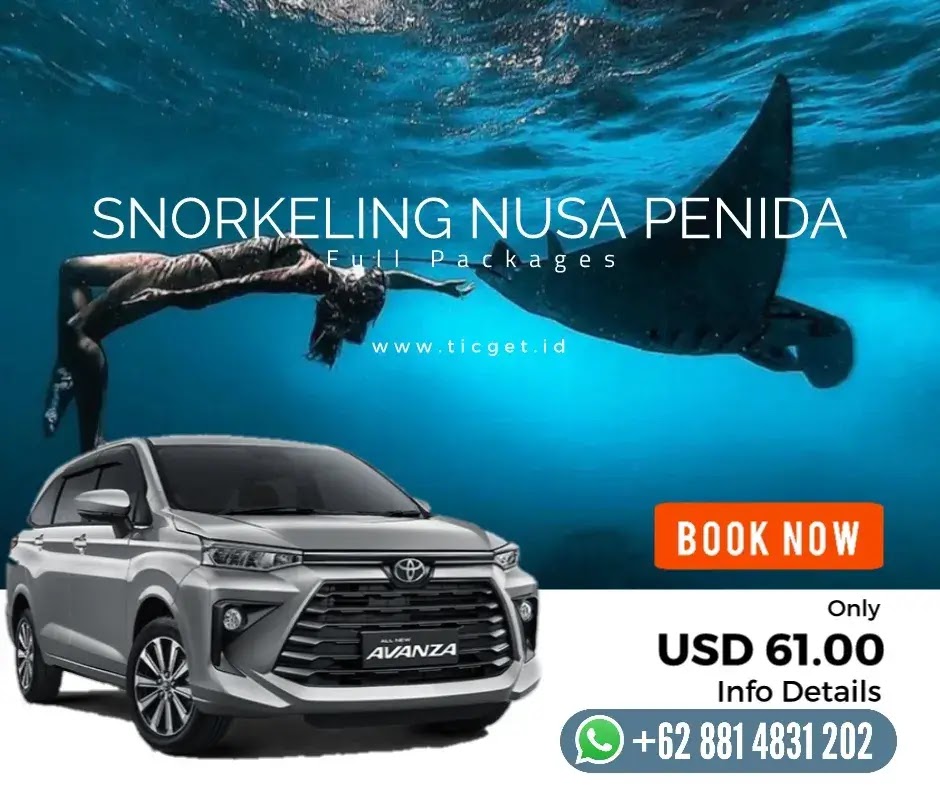 bali-best-things-to-do-activities-snorkeling-nusa-penida