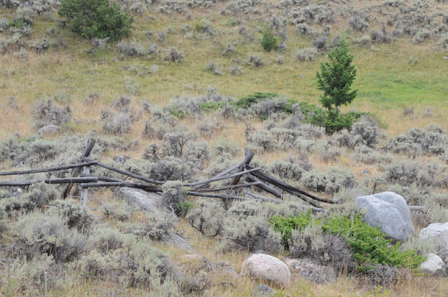 sagebrush prairie -- Big Horn Mountains